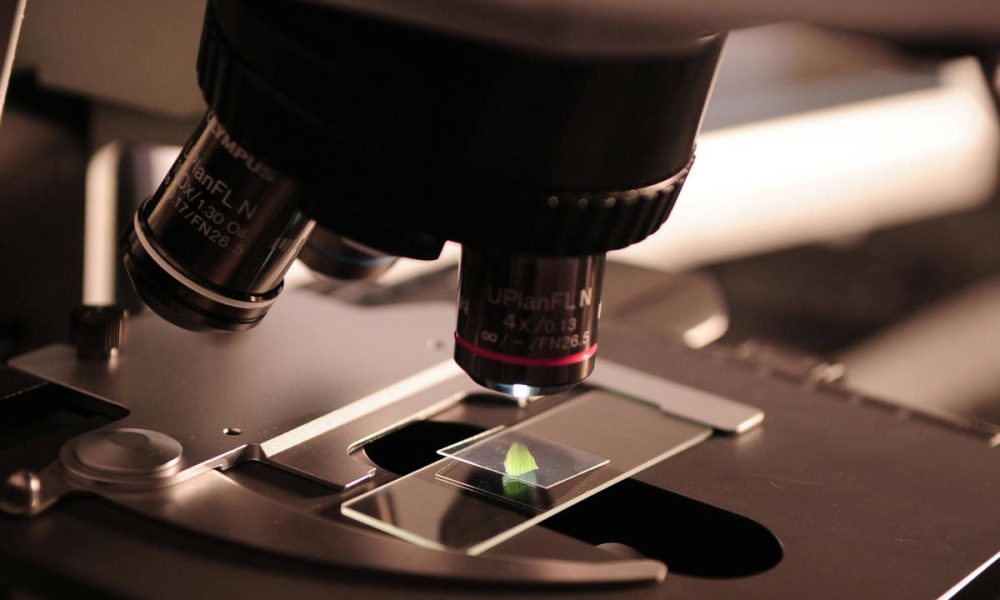 Cuidado con las proteínas creadas por la IA