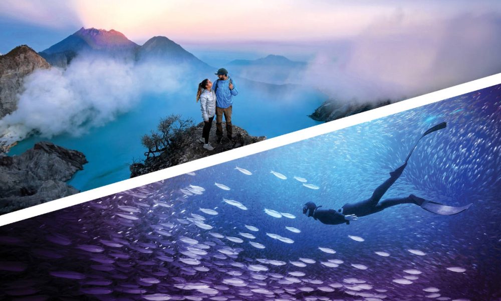 Photoshop y Premiere Elements 2026: salto mayor a la IA