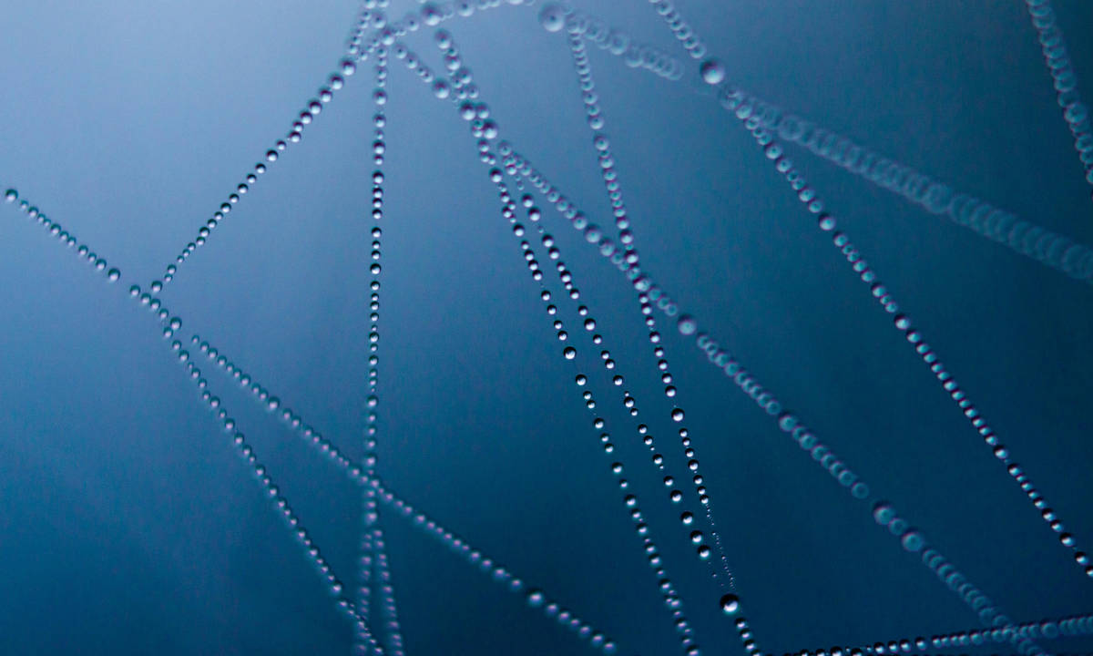 Tim Berners-Lee ve futuro a la web, pese a la IA