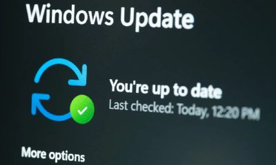 actualizaciones de Windows 11