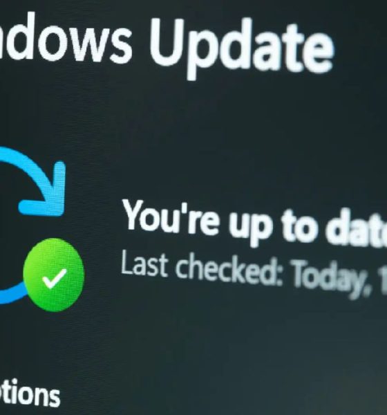 actualizaciones de Windows 11