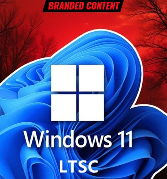 las actualizaciones rompen windows 11