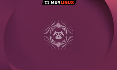 Ubuntu 26.04 LTS