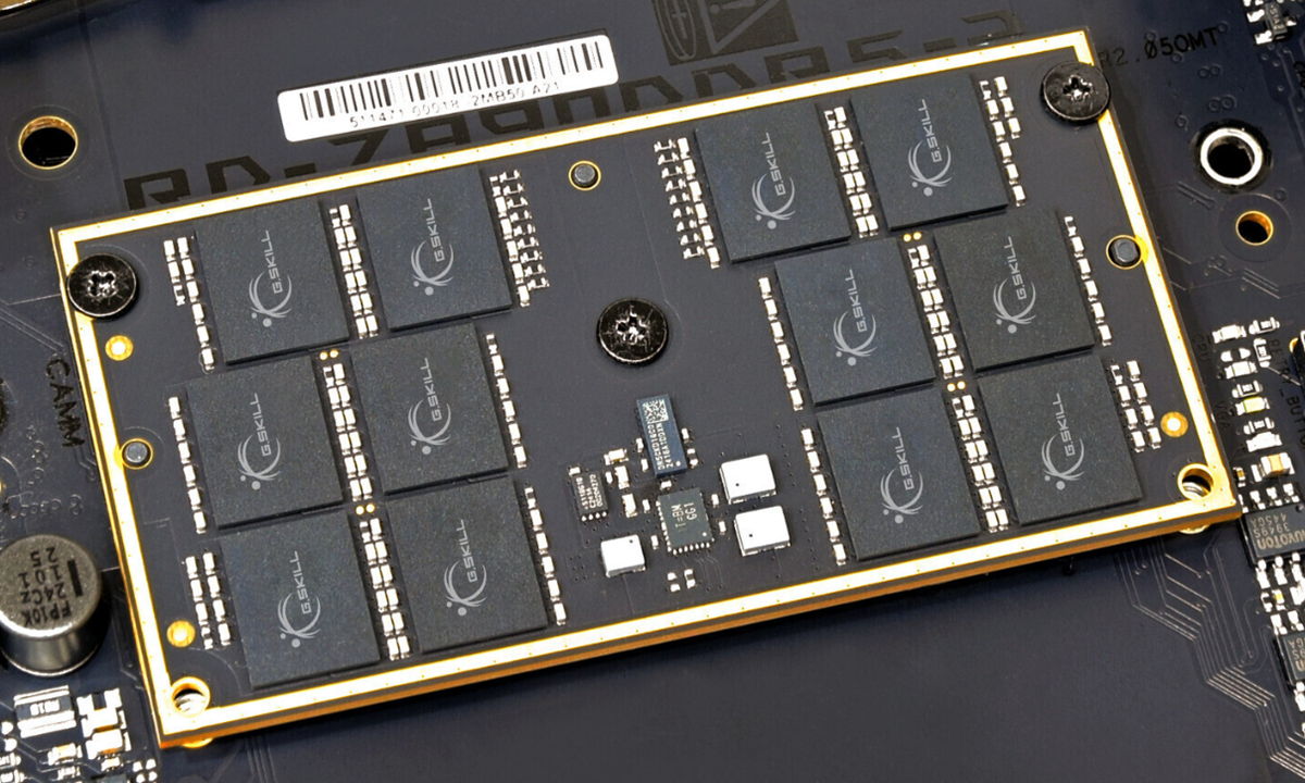 DDR6