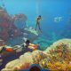 Subnautica 2 rompe Steam y Twitch pese al conflicto entre Krafton y Unknown Worlds