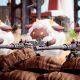 Palworld podría convertirse en una incómoda derrota para Nintendo