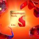 Snapdragon Reality Elite