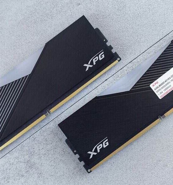 crisis de la RAM