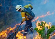 Incendios forestales: las mejores herramientas para estar informado