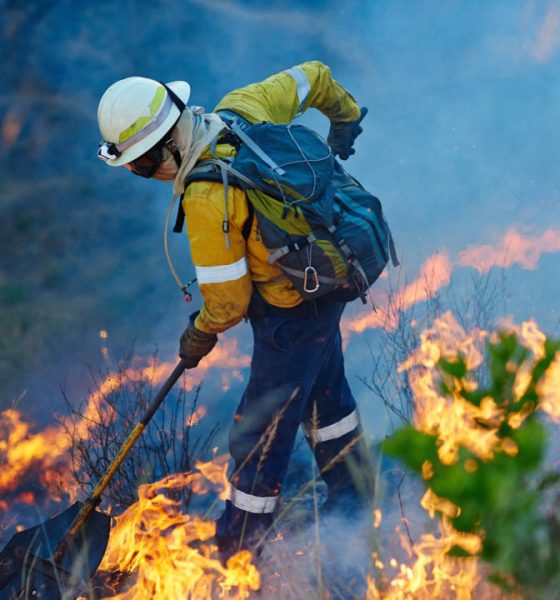 Incendios forestales: las mejores herramientas para estar informado