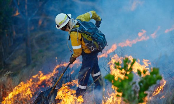 Incendios forestales: las mejores herramientas para estar informado