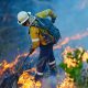 Incendios forestales: las mejores herramientas para estar informado