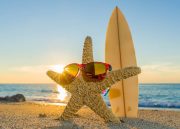 Recursos online imprescindibles para tus vacaciones