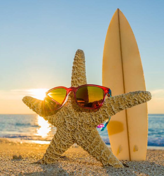 Recursos online imprescindibles para tus vacaciones