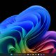 Windows 11