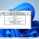 Windows 11 Microsoft Word 1.1