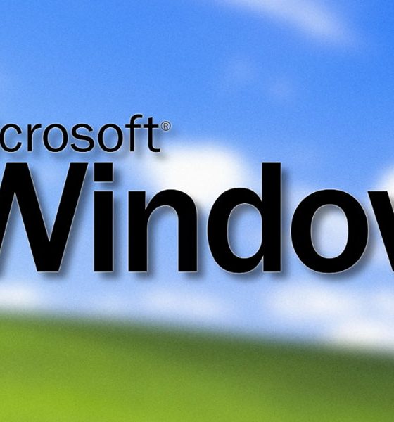 Windows XP