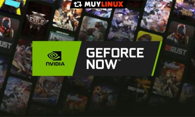 GeForce Now para Linux