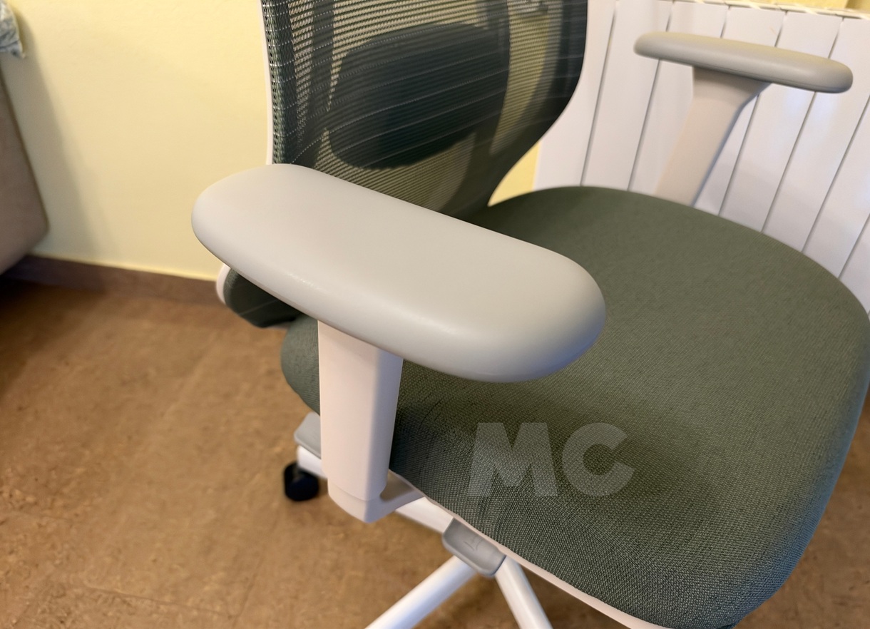 FLEXISPOT Balanso