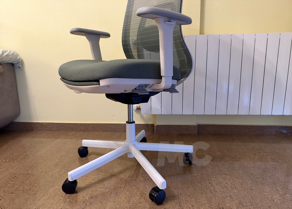FLEXISPOT Balanso