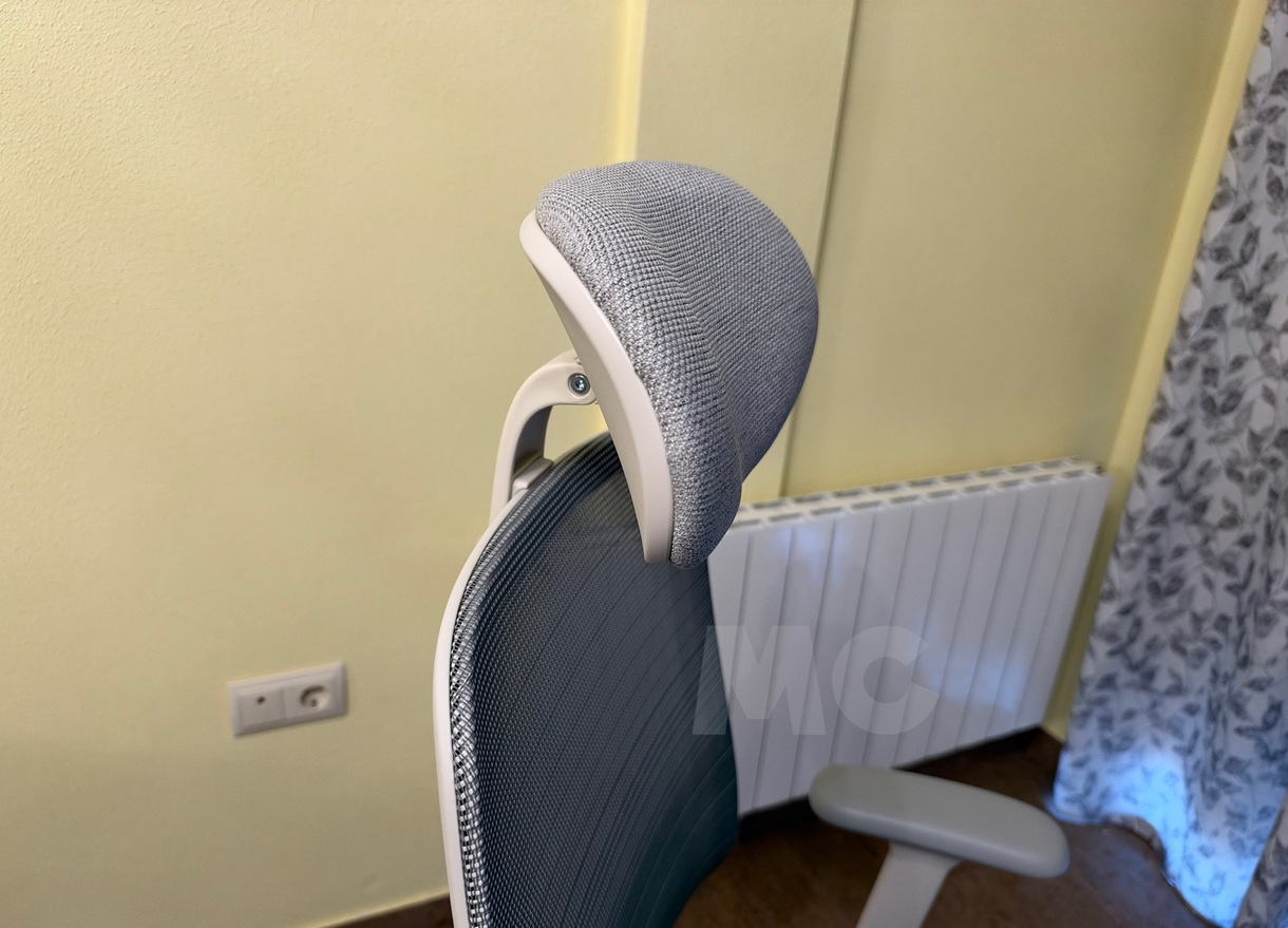 FLEXISPOT Balanso
