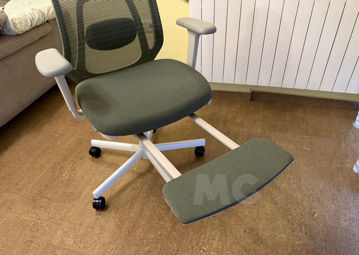 FLEXISPOT Balanso