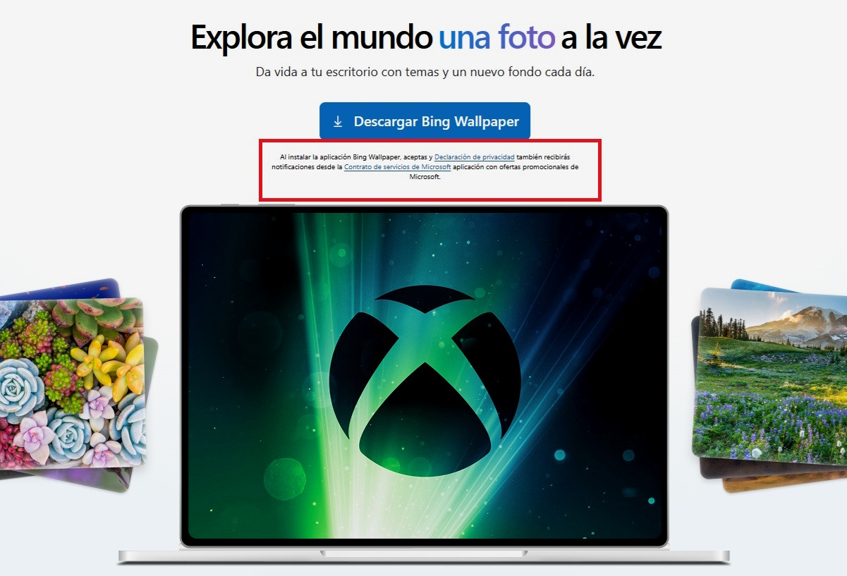 bing wallpaper condiciones