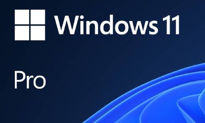 licencia de Windows 11