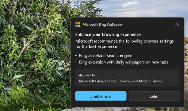 Microsoft convierte Bing Wallpaper en adware