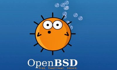 OpenBSD 8.0